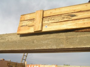 P8230098